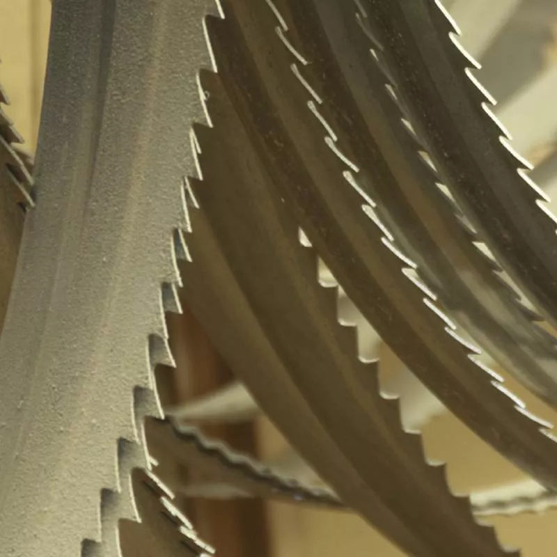 Lame Scie Ruban 6 Z/1" 1440x13x0.65 Mm FEMI NG120 XL ABSNG120 - 3289956 4 Lame Scie Ruban 6 Z/1" 1440x13x0.65 Mm FEMI NG120 XL ABSNG120 - 3289956 - Image 2